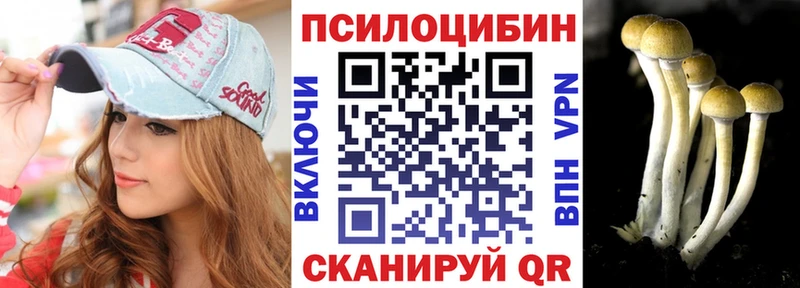 Псилоцибиновые грибы Psilocybe  купить  цена  Бавлы 